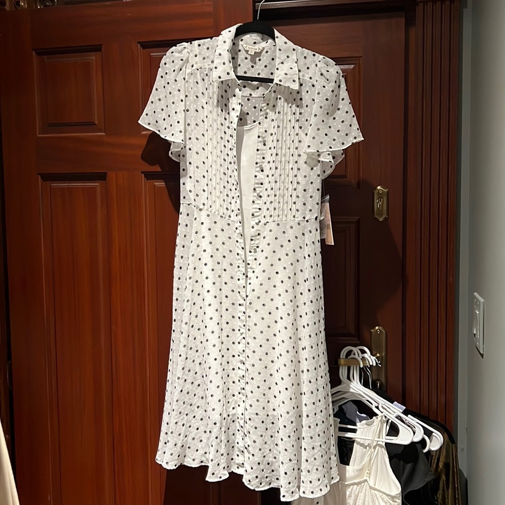 Polka Dots